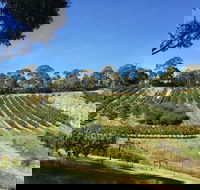 Cherrytime Orchard - NT Tourism