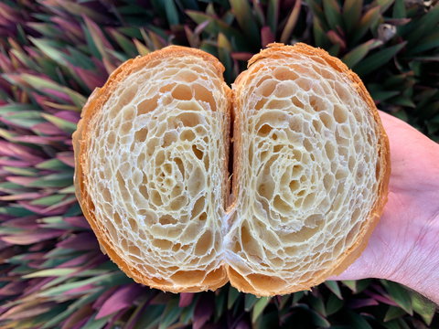 La Bouche - Accommodation NT 0