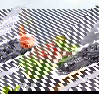 Nourish and Feed - Accommodation NT