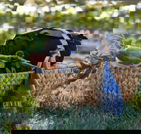 Rowlee Wines Picnic Hamper - NT Tourism