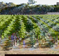 Weathercraft Wines - NT Tourism