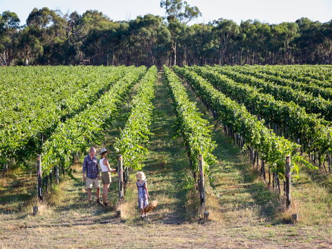 Weathercraft Wines - NT Tourism 0