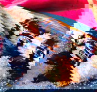 Donut King - Frankston - Accommodation NT