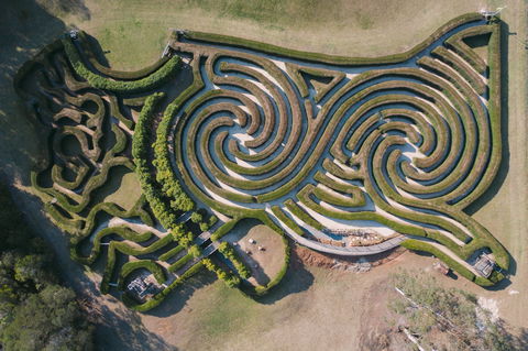 Bago Maze And Wine - Accommodation NT 0