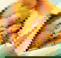 Beretta's Langwarrin Hotel - Accommodation NT