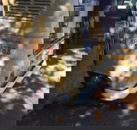 Kombi Koffein - Accommodation NT