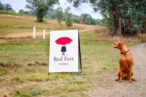 Red Feet Wines - NT Tourism 2