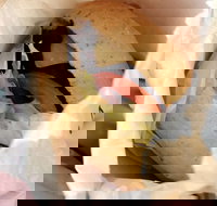 The Crusty Loaf - Accommodation NT