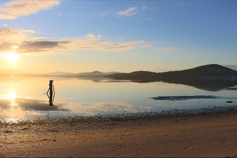 Barilla Bay Oysters - NT Tourism 2