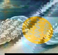 Fay's Cafe - Accommodation NT