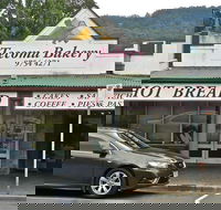 Cheeky Fox - NT Tourism