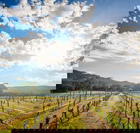 Fallen Giants Vineyard - NT Tourism