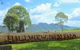 Hillview Herb Farm - thumb 0