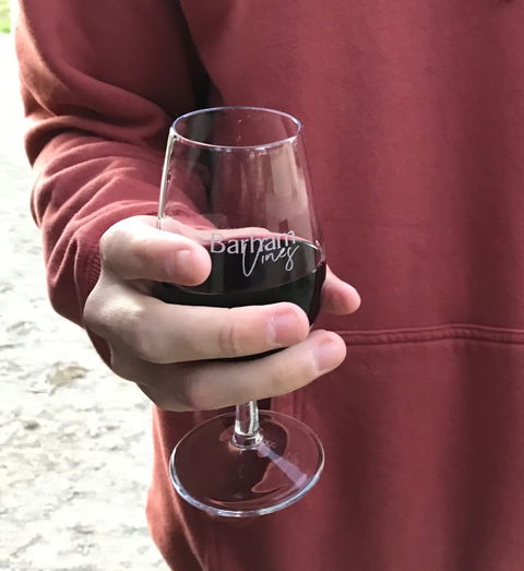 Barham Vines - Accommodation NT 2