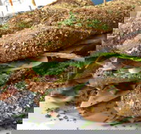 Bean Out - Accommodation NT