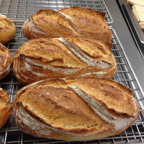 Harvest Boulangerie Patisserie - Accommodation NT 0