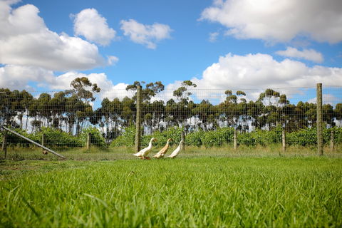 Pierrepoint Wines Cellar Door - NT Tourism 1