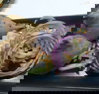 Fins  Scales Fish  Chippery - NT Tourism