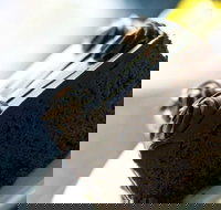 Noci Licensed Restaurant - NT Tourism