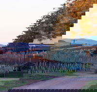 Rowlee Wines - NT Tourism