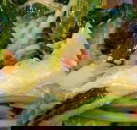 Victoria Noodle Restaurant - NT Tourism