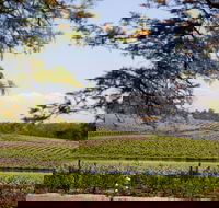Wynwood Estate - NT Tourism