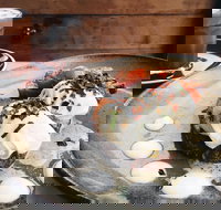 Celsius Coffee Co - Accommodation NT