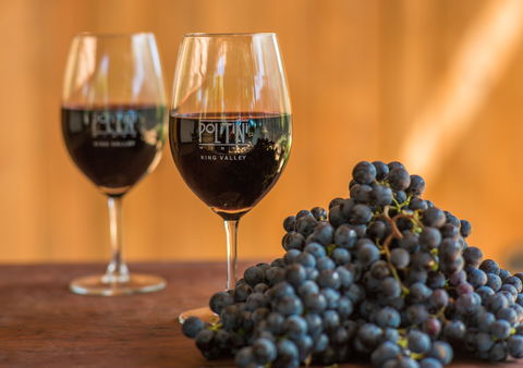 Politini Wines - NT Tourism 0