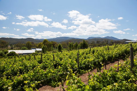 Politini Wines - NT Tourism 1