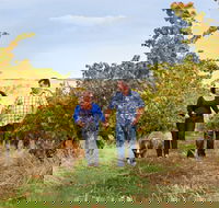 WayWood Wines - Accommodation NT