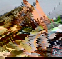 Redfish Fish Chips  Grill - Accommodation NT