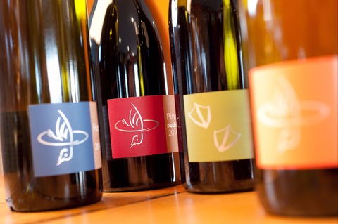 Puddleduck Vineyard - NT Tourism 2