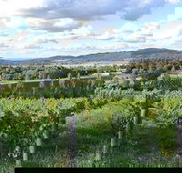 Sassy Wines - NT Tourism