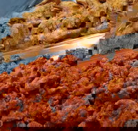 Spice Blast - Accommodation NT