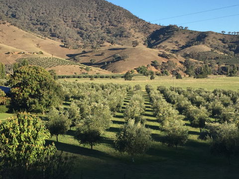 The Pressing Shed Cafe & Restaurant At Nullamunjie Olive Groves - NT Tourism 2