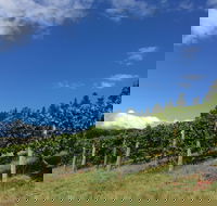 Freycinet Vineyard - Accommodation NT