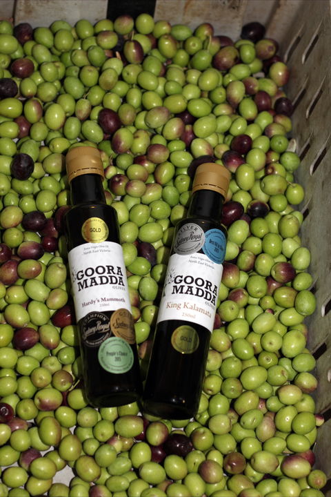 Gooramadda Olives - Accommodation NT 0