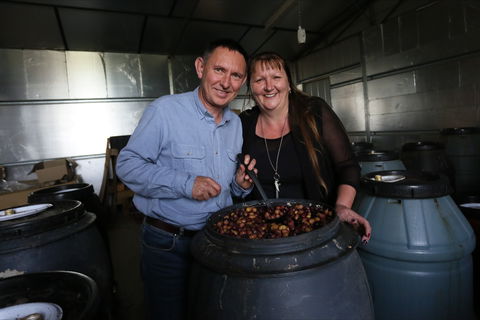 Gooramadda Olives - Accommodation NT 2