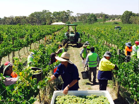Grosset Wines - NT Tourism 1