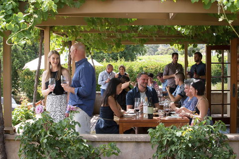 Murray Street Vineyards - NT Tourism 1