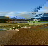 Thomson Brook Wines - NT Tourism