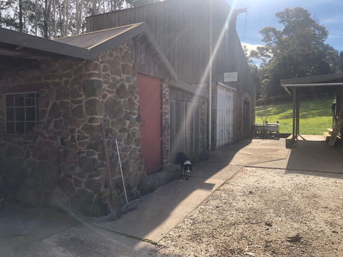 Wilmot Hills Orchard & Distillery - Accommodation NT 1