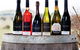 Captains Creek Organic Wines - thumb 1
