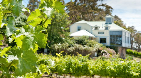 Hahndorf Hill Winery - NT Tourism 2