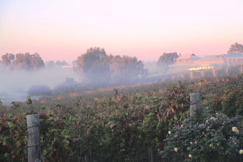 Sittella Winery & Restaurant - NT Tourism 1