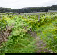 Suffoir Winery Brewery and Cidery - NT Tourism