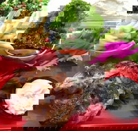 Al Shawi - NT Tourism