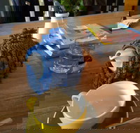 Espressohead - Accommodation NT