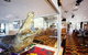 Lido Chinese Restaurant - thumb 0