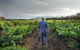 Thomas Wines - thumb 2